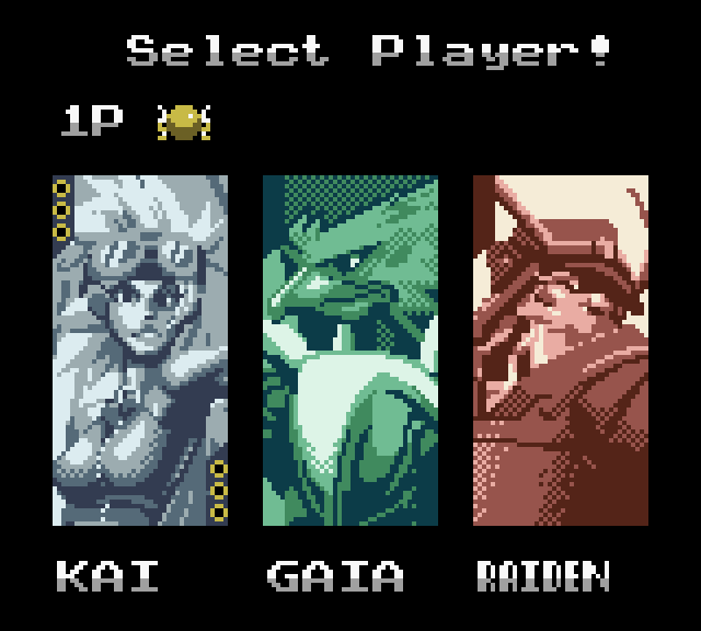 Wing Warriors (GBC) - Digital Edition - Image 3